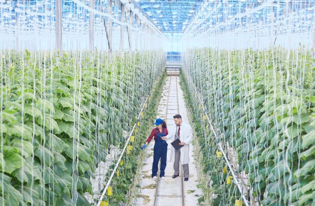 scientist-on-industrial-plantation-N8MFDWU.jpg scientist-on-industrial-plantation-N8MFDWU.jpg